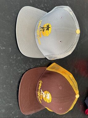 California golden state  Mesh Back Palm Logo Trucker Cap - Gray & Brown